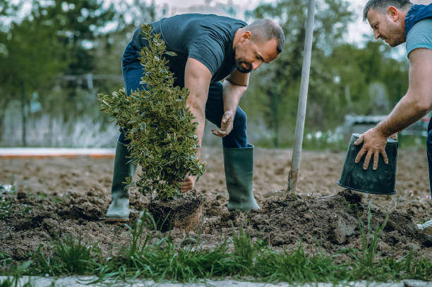 Best Artificial Turf Installation  in Rimersburg, PA